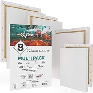 GenCrafts Stretched Canvas Multi Pack